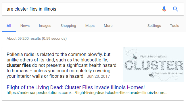 SERP for are cluster flies in illinois