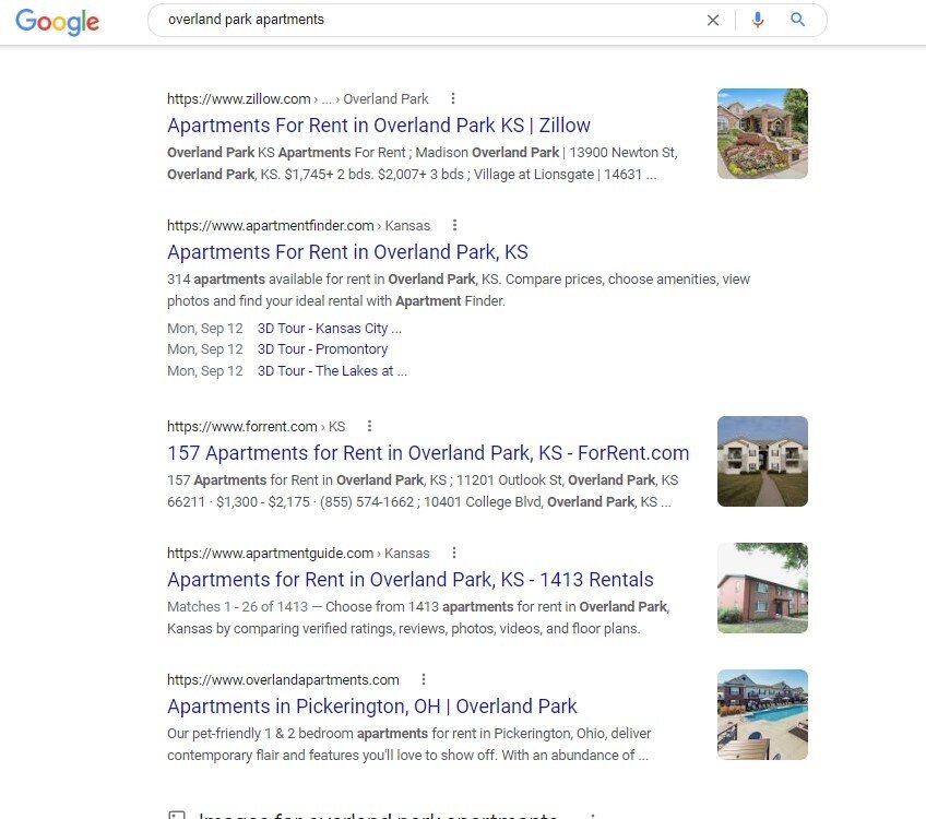 a screen shot of the search results page from google that shows apartment pictures in organic search results
