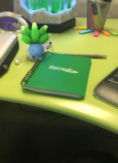 Pokemon on desk