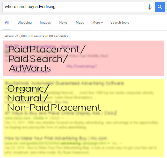example of a search engine results page displaying paid placement and organic results