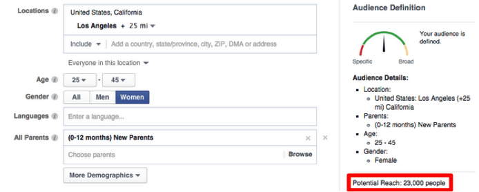 Facebook Ad Manager setting up an audience