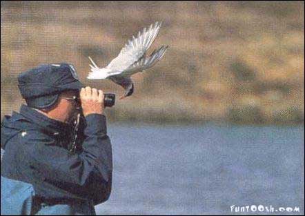 a man looking through binoculars at a bird